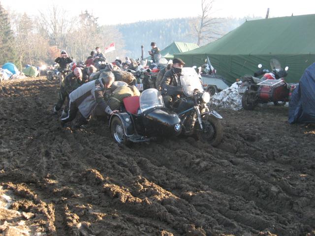 BILD: Dreibeiniges Ross